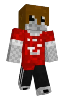 DownieFish Minecraft avatar full body