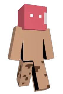 Dowzew Minecraft avatar full body