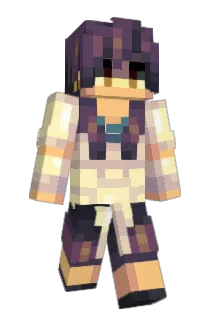 Doximity Minecraft avatar full body
