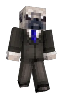 DrBimbu Minecraft avatar full body