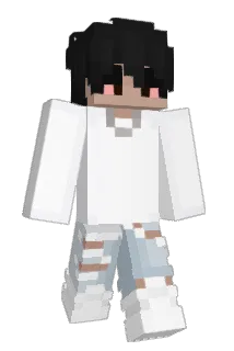 DrBingusWombat Minecraft avatar full body