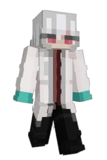 DrBustdownMD Minecraft avatar full body