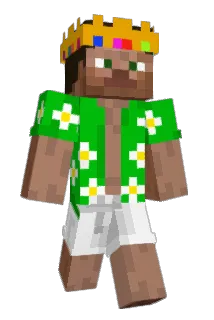 DrChickennn Minecraft avatar full body