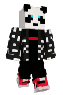 DrCujo Minecraft avatar full body