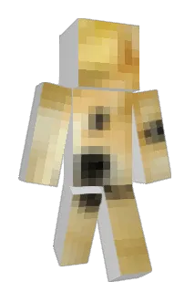 DrFechner Minecraft avatar full body