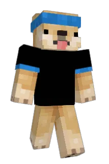 DrMaddog Minecraft avatar full body