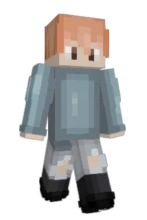 DrOwlz Minecraft avatar full body