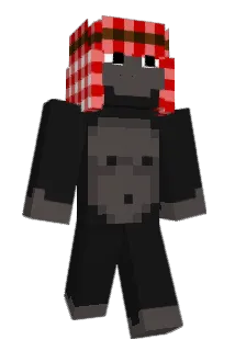 DrPajiaco Minecraft avatar full body