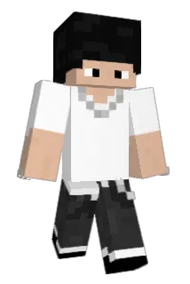 DrStein27 Minecraft avatar full body