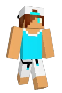 DrSw4g Minecraft avatar full body