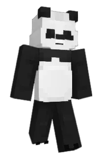 DrVansh Minecraft avatar full body