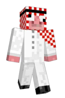 DrWaix Minecraft avatar full body