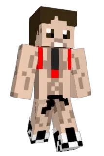 DrZalchicha Minecraft avatar full body
