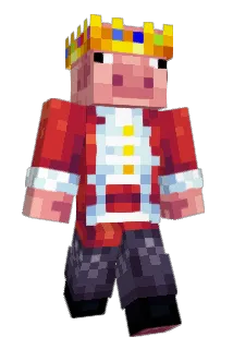 Dr_Doctor2763 Minecraft avatar full body