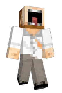 Drafy Minecraft avatar full body
