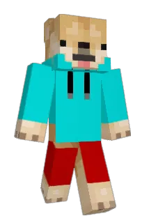 DragonDog524 Minecraft avatar full body