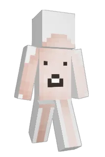 Dragoncin500 Minecraft avatar full body