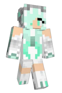 Dragunsonic Minecraft avatar full body