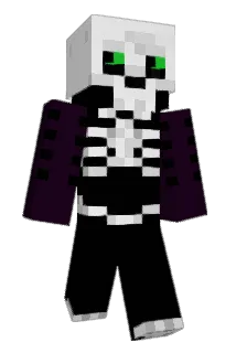 Drak93100 Minecraft avatar full body