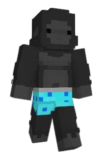 Drakefan37 Minecraft avatar full body