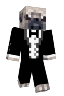 Drakesters Minecraft avatar full body