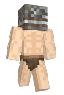 DrasGarde Minecraft avatar full body