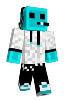 DravenGodz Minecraft avatar full body