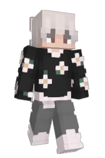 DreamForYouuU Minecraft avatar full body