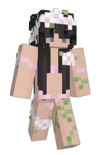 Dreamm69 Minecraft avatar full body