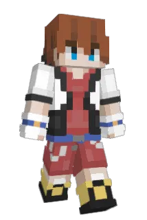 Dreuis Minecraft avatar full body