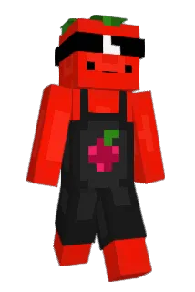 Drewman333 Minecraft avatar full body
