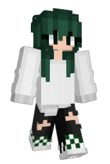 Dreyrc Minecraft avatar full body