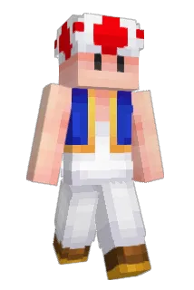 Drfroid2001 Minecraft avatar full body