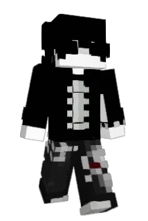 DrgFlupp Minecraft avatar full body