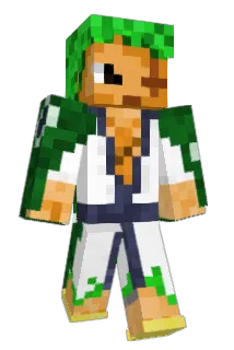 Dricat01 Minecraft avatar full body