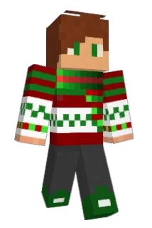 Dridrigoen Minecraft avatar full body