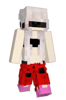 DriksLow Minecraft avatar full body