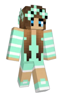 Drinki Minecraft avatar full body