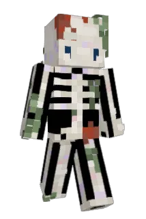 Drinx24 Minecraft avatar full body