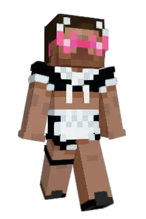DrippyHonk Minecraft avatar full body