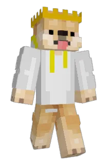 Drizz296 Minecraft avatar full body