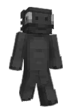 Drmily Minecraft avatar full body