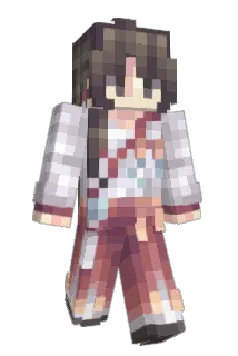 Droguet Minecraft avatar full body