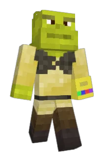 Dropped18 Minecraft avatar full body