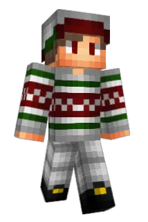 DrownedZ Minecraft avatar full body