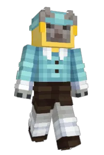 Drowsze Minecraft avatar full body