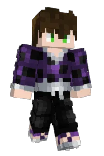 Drqonic Minecraft avatar full body
