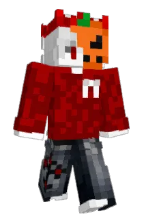 DrrTibs Minecraft avatar full body