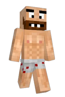 Drueggy Minecraft avatar full body