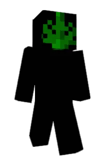 DrugFein Minecraft avatar full body